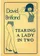 Tearing A Lady in Two