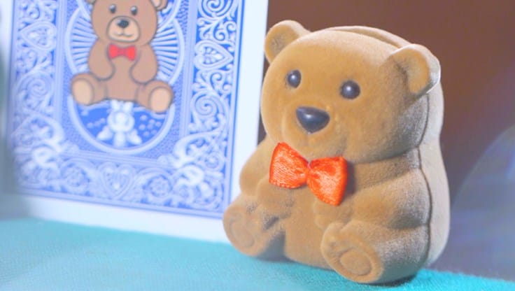 TEDDY - thumbnail 2