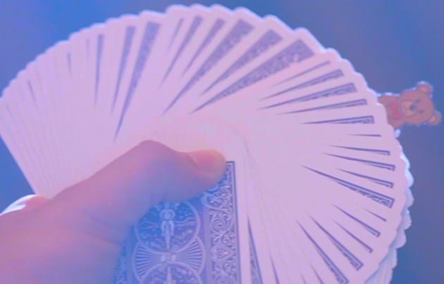 TEDDY - thumbnail 3