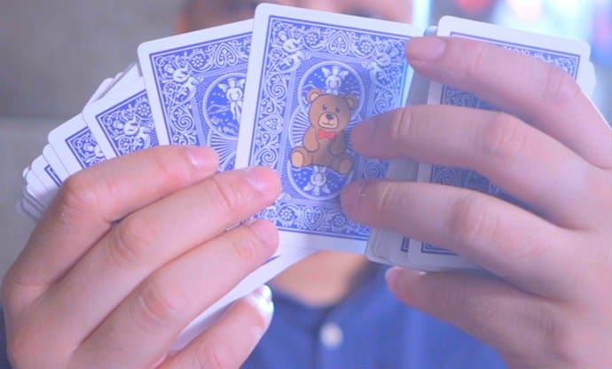 TEDDY - thumbnail 4