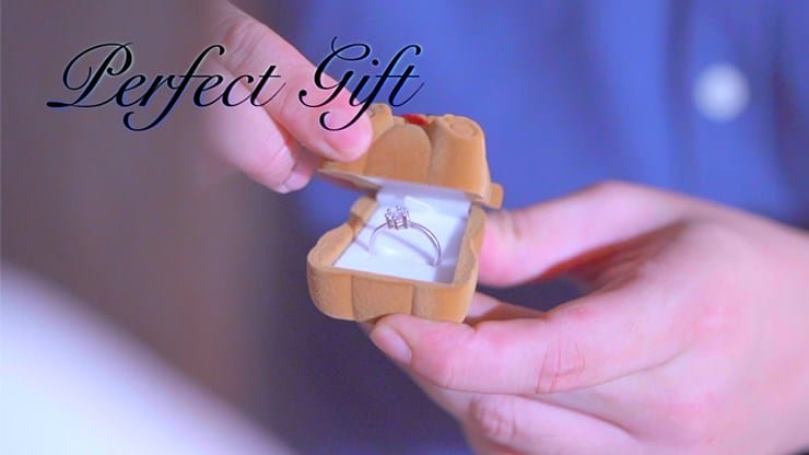 TEDDY - thumbnail 5