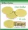 Teflon circles Dollar size