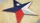 Texas Star Playing Cards - image 4