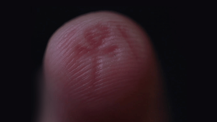 The Artefact - thumbnail 5