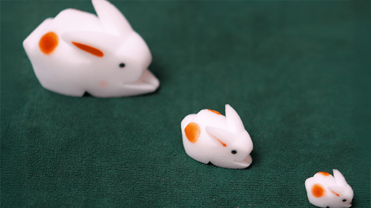 The Bunnies! 3D Rabbits (Sponge Rabbits)