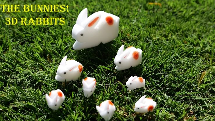 The Bunnies! 3D Rabbits (Sponge Rabbits)