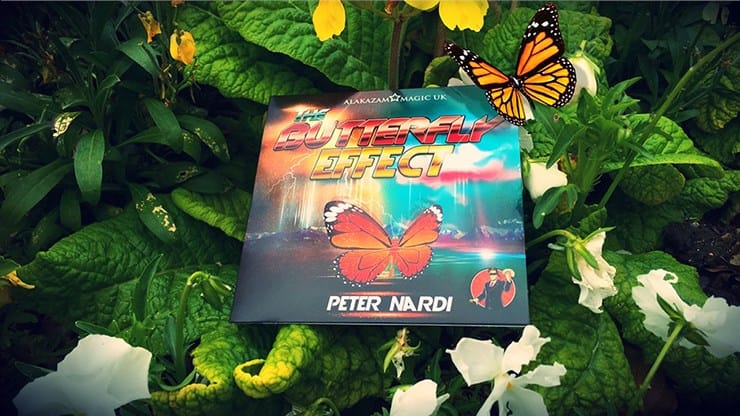 The Butterfly Effect - thumbnail 2