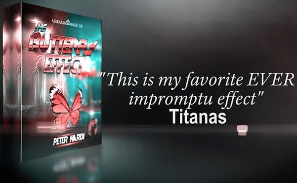 The Butterfly Effect - thumbnail 4
