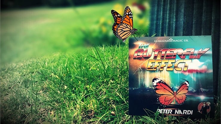 The Butterfly Effect - image 1