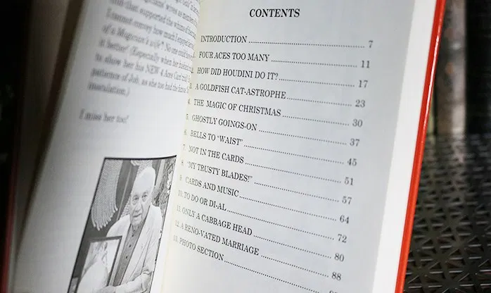 The Diary of a Magicians wife - image 2