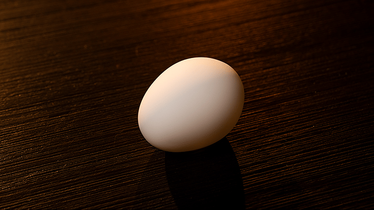 The Egg - thumbnail 3