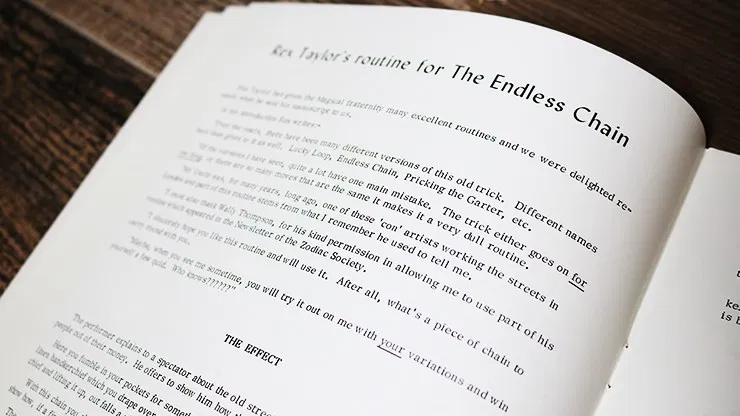 The Endless Chain - image 3