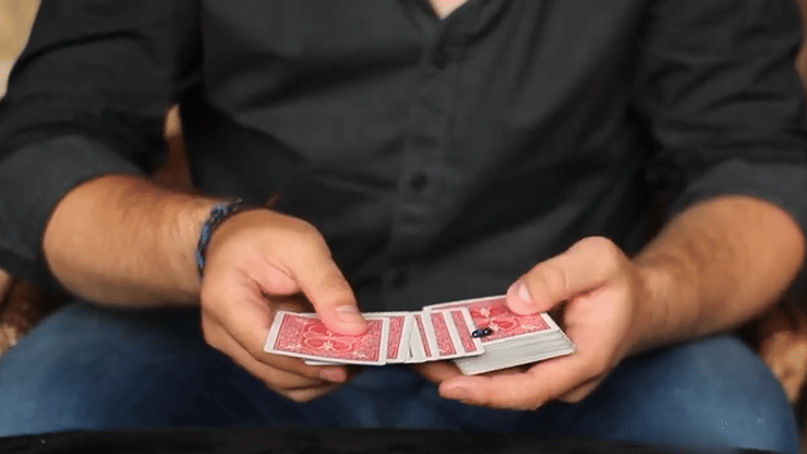 The Fly Lite - thumbnail 3