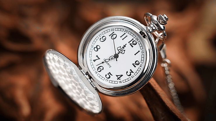 The Gemini Watch - thumbnail 2
