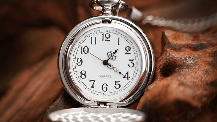 The Gemini Watch - thumbnail 5
