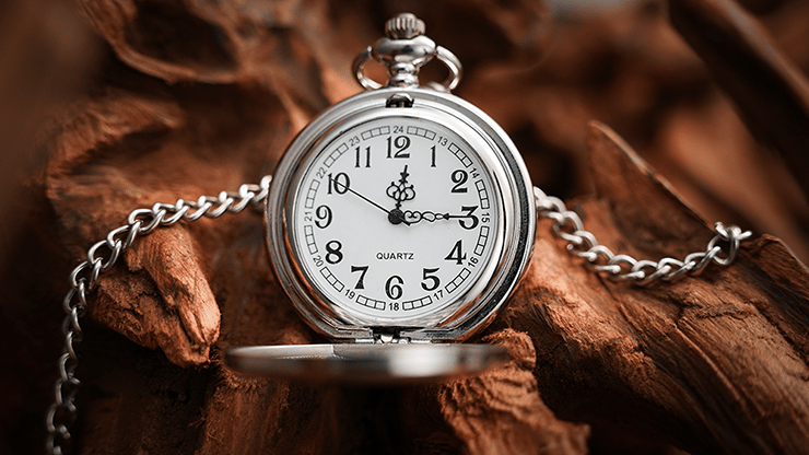 The Gemini Watch - thumbnail 6