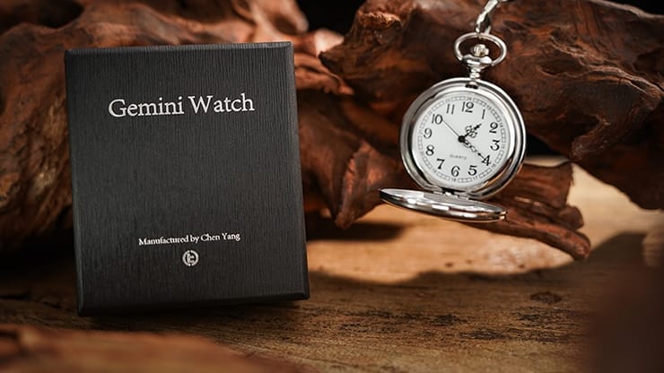 The Gemini Watch - image 1