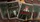 The Gentleman Thief Imposter Playing Cards - image 5