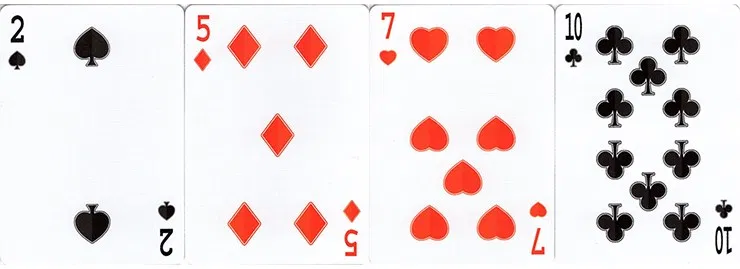 The Guard Slate Playing Cards - image 6