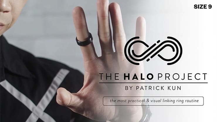 The Halo Project (Silver Edition) - image 1