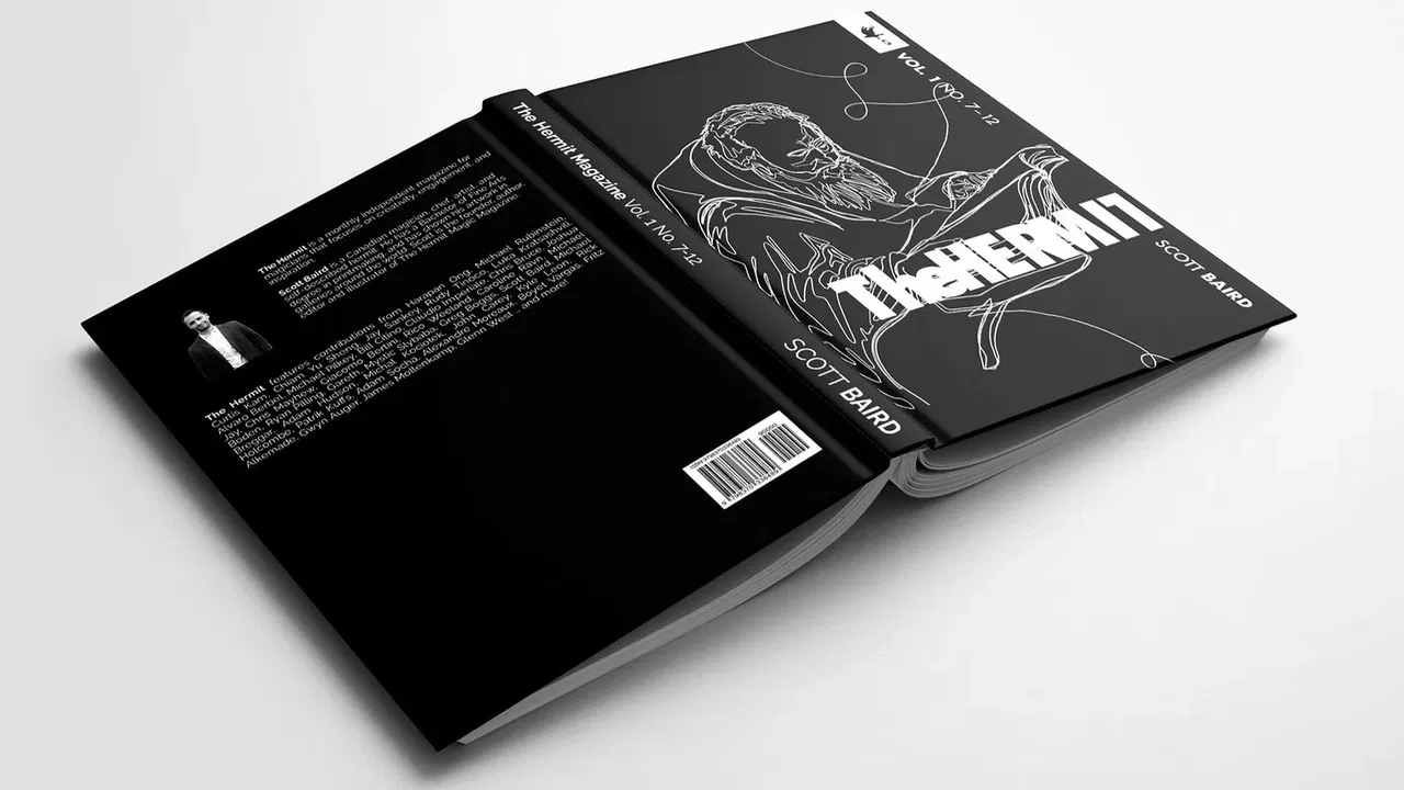 The Hermit - Volume 1 - image 2
