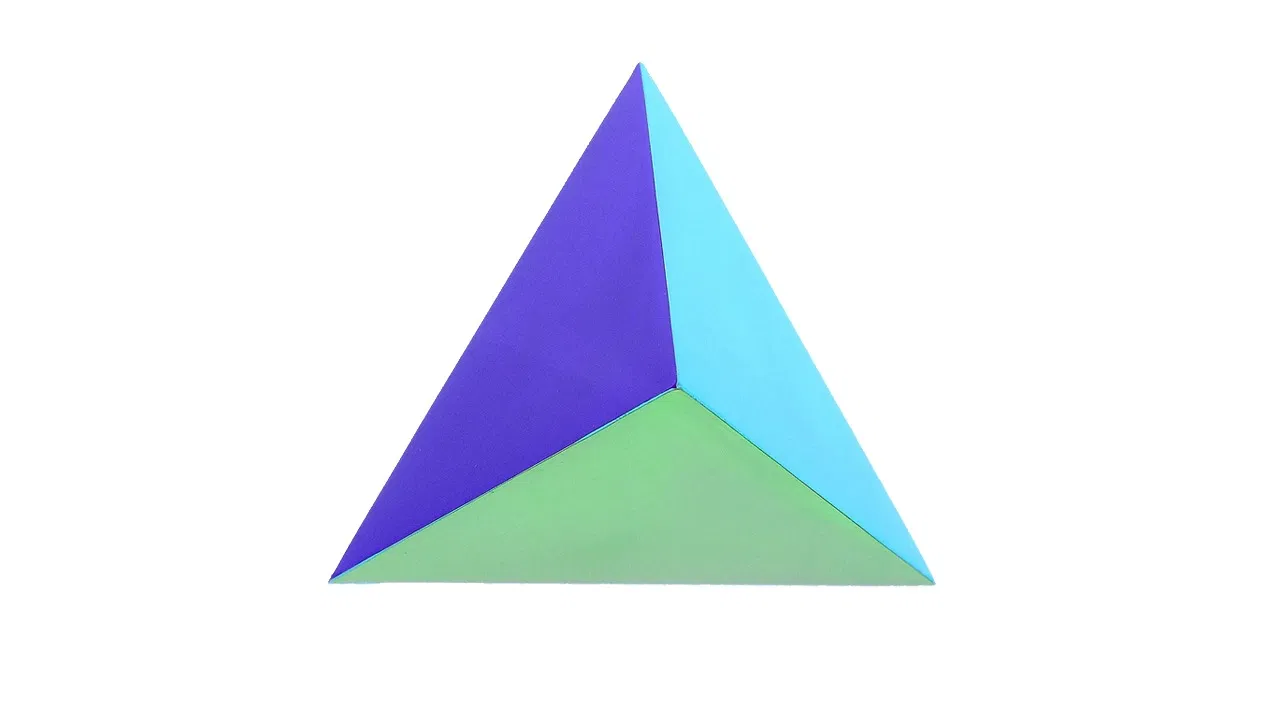 The Ignis - image 4