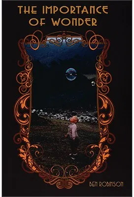 The Importance of Wonder