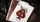 The Keys of Solomon Blood Pact Playing Cards - image 6
