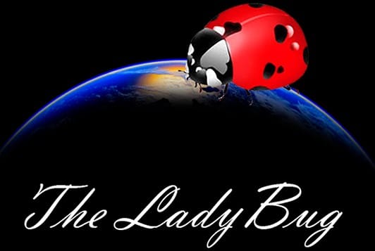 The Ladybug