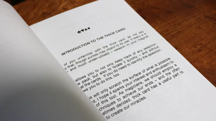 The Little Book of Thick - image 3