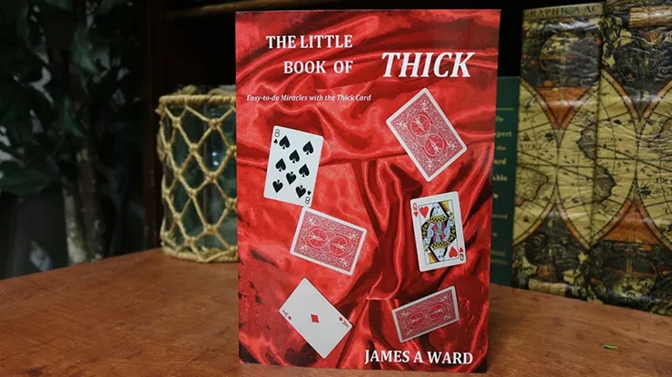 The Little Book of Thick - image 1