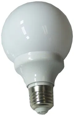 The Magic Bulb!