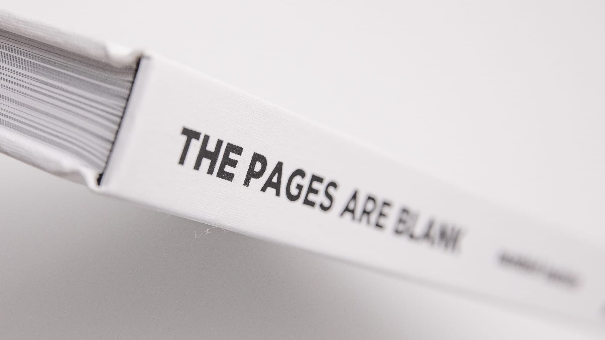 The Pages Are Blank - thumbnail 7