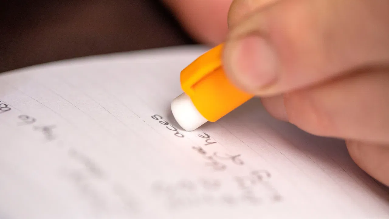 The Perfect Annotator - image 2