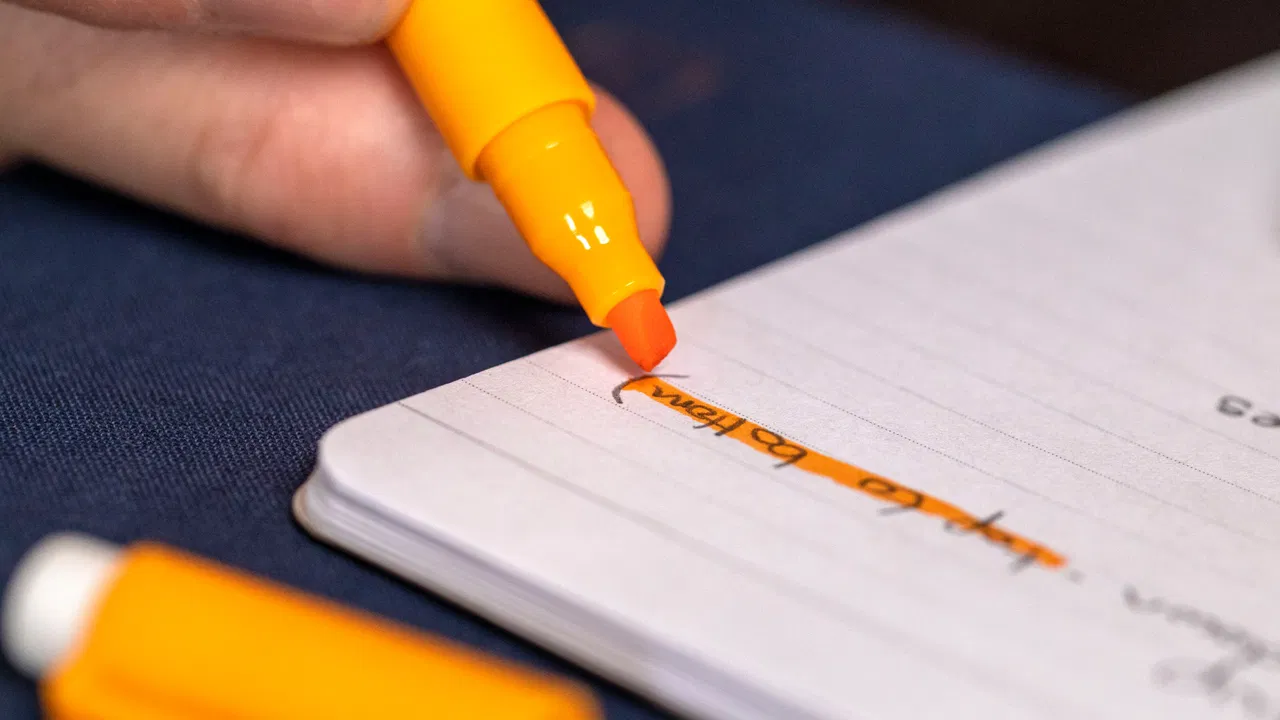 The Perfect Annotator - image 1