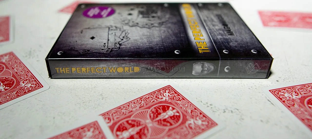 The Perfect World - image 2