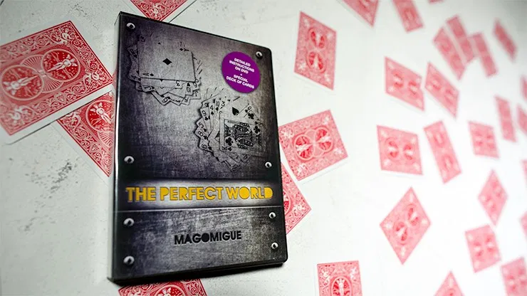 The Perfect World - image 3