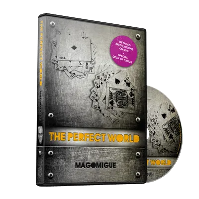 The Perfect World - image 1