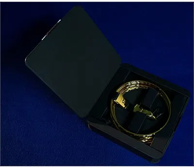Raymond Long's The Rings - image 2