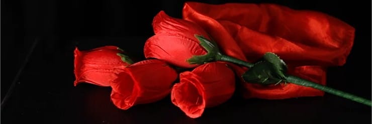 The Rose 2.0 - thumbnail 3