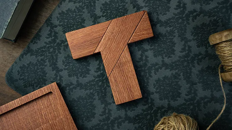 The Secret of T Puzzle - image 6