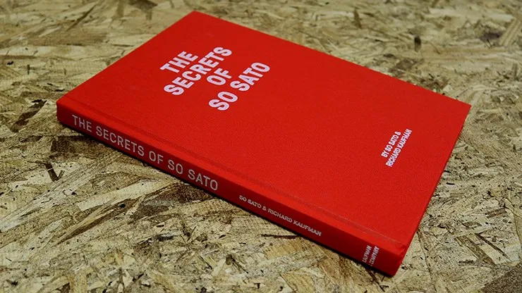 The Secrets of So Sato - image 2