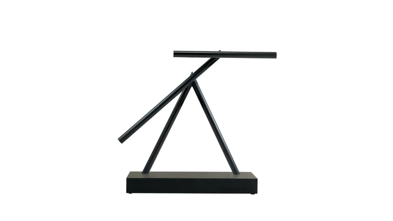 The Swinging Sticks - image 5