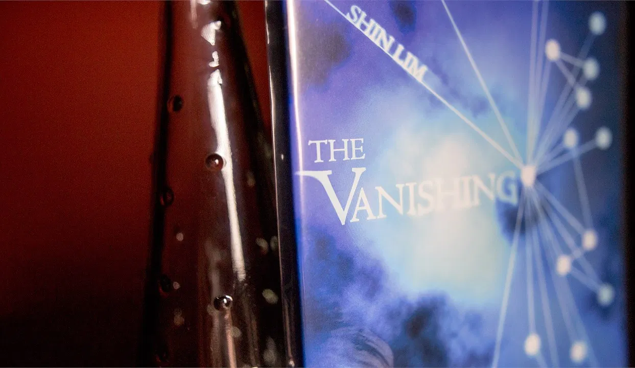 The Vanishing - Shin Lim - image 2