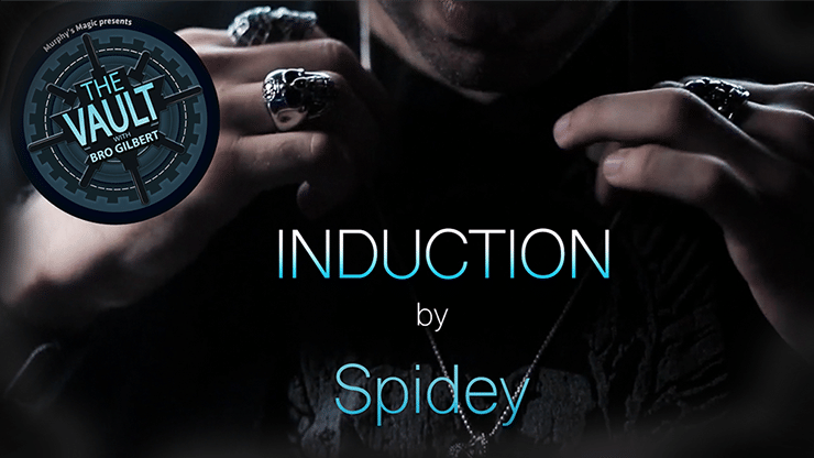 The Vault - Induction