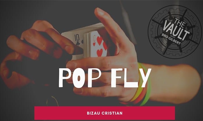 The Vault - Pop Fly