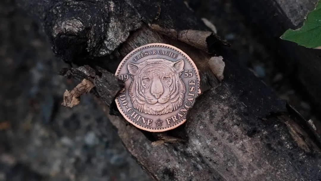 Tiger Tan - image 7