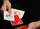 Tomato at the Edge Playing Cards - image 2