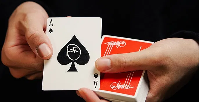 Tomato at the Edge Playing Cards - image 3