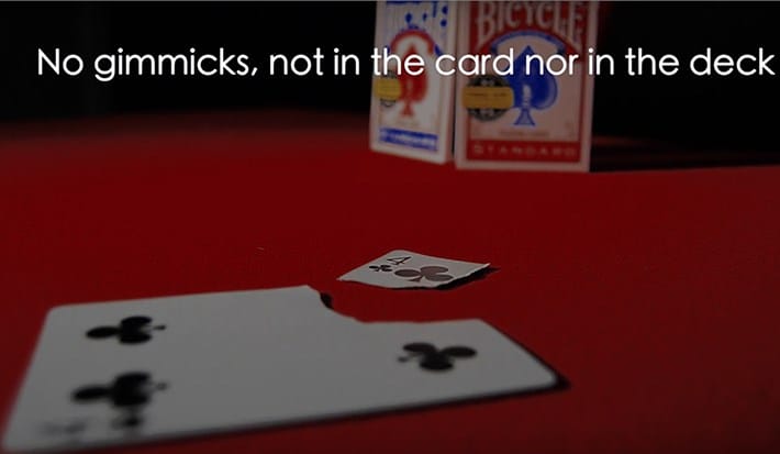 Torn Card Evolution - thumbnail 6